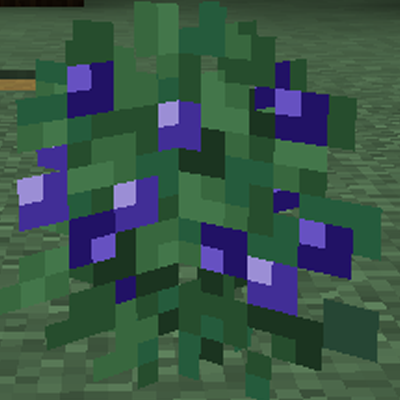 Blueberries! logo