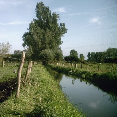 Farming sim
