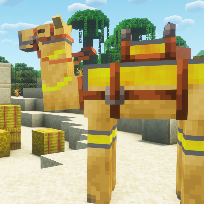 Better Camels logo