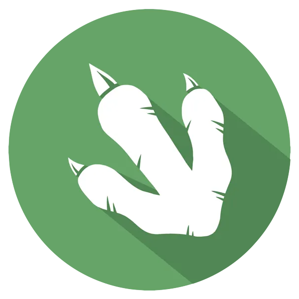 Dragons + Dinosaurs logo
