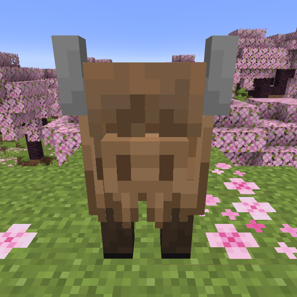 Fluffly Highland Cow