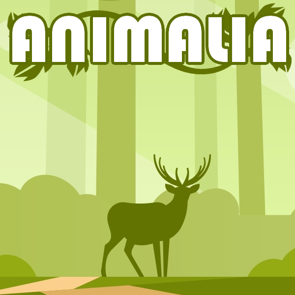 ANIMALIA: Adventures in Nature