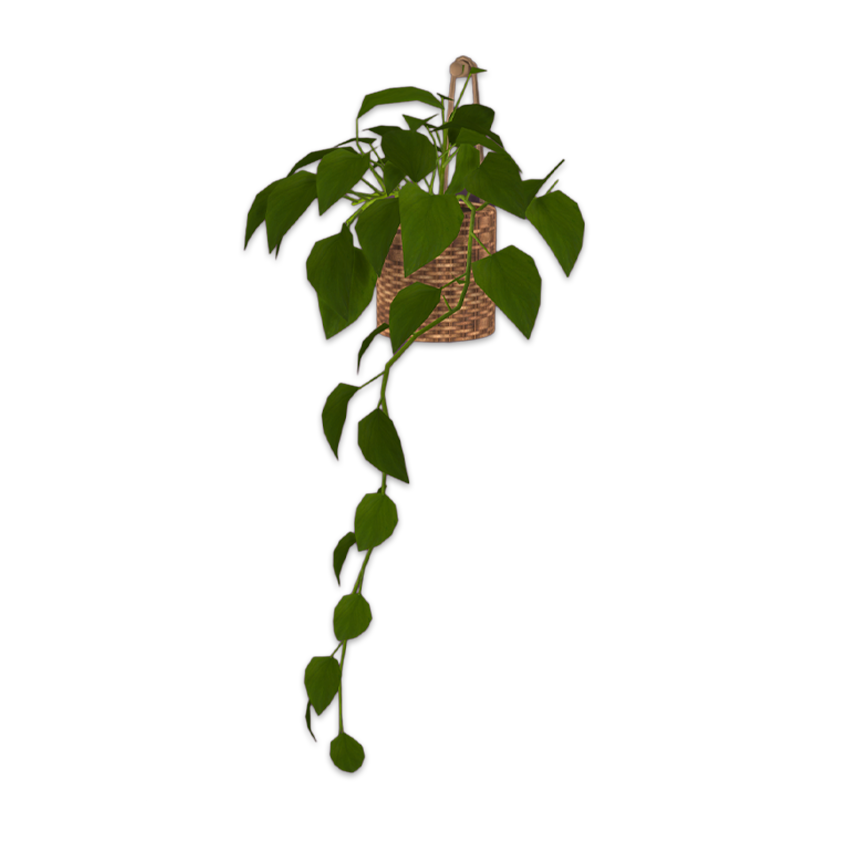Comiko - Boho Bedroom Wall Plant logo