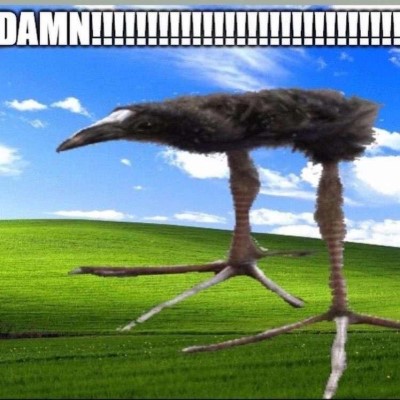 DAMN!!!!!!!!!!!