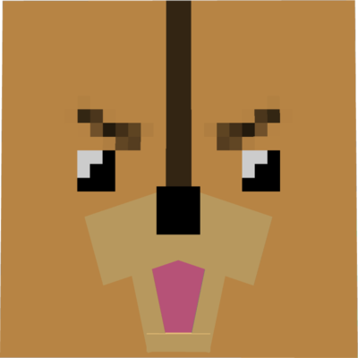 BleachCraft logo