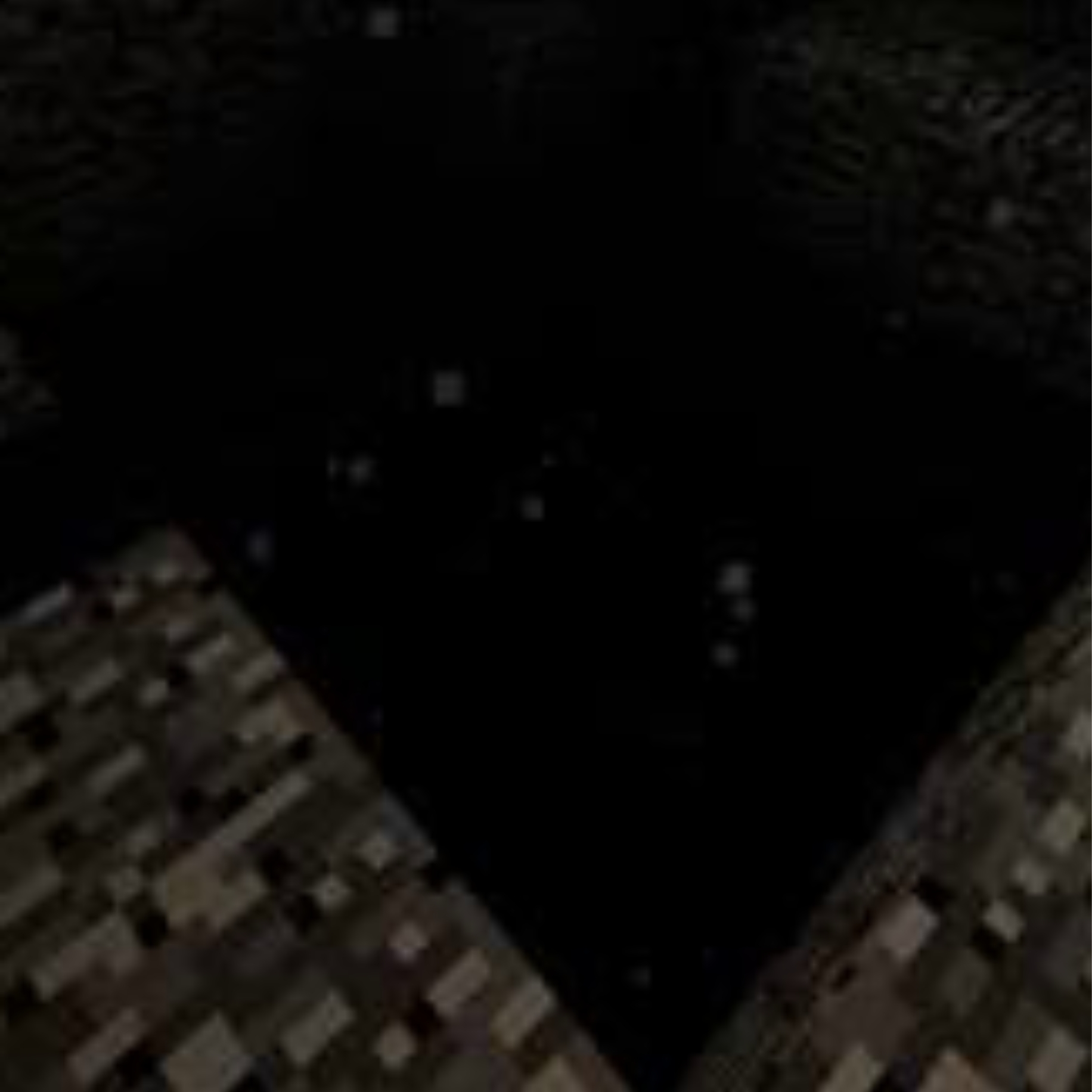Entity From the void logo