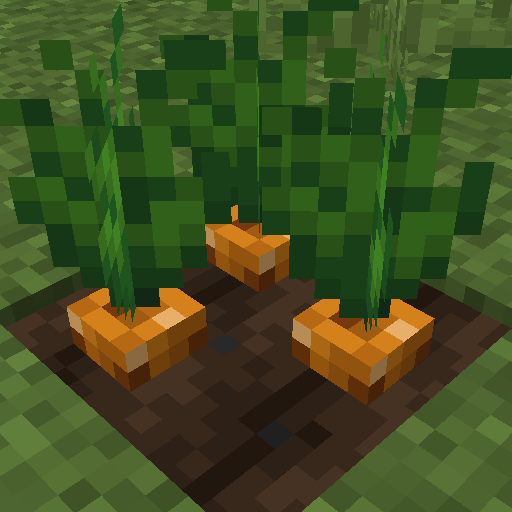Crops 3D Reploughed