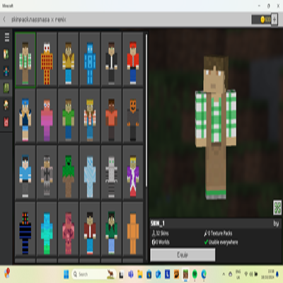 Nasa's skin pack