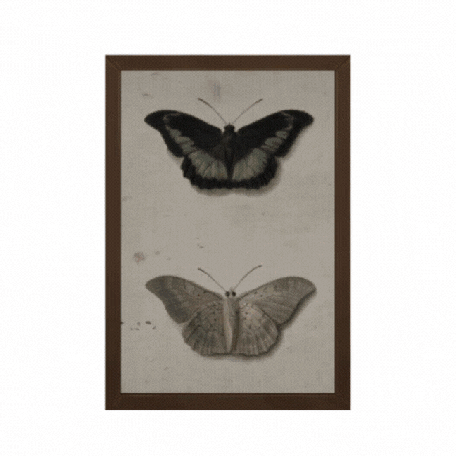 Dark Academia 0204 logo