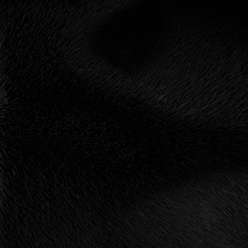 Parasites Apocalypse [ Apocalypse Themed Horror !] logo