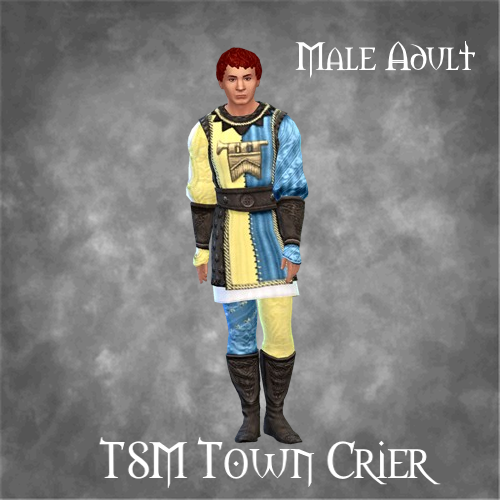 TSM Town Crier logo