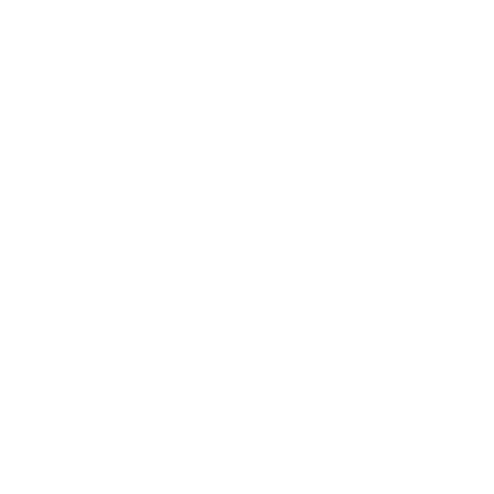 LittleMaidMob Enhanced logo