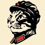 TheEnclave member profile picture