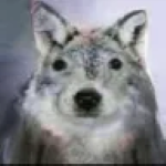 alwwario member profile picture