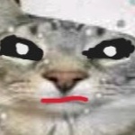 CRISMASOWY_KOTEK member profile picture