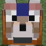 CurseForge profile picture for @Fastest