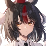 SyameimaruZheng member profile picture