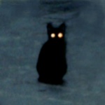 Chakyl member profile picture