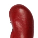 beany123 member profile picture