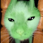 CurseForge profile picture for @Bongo