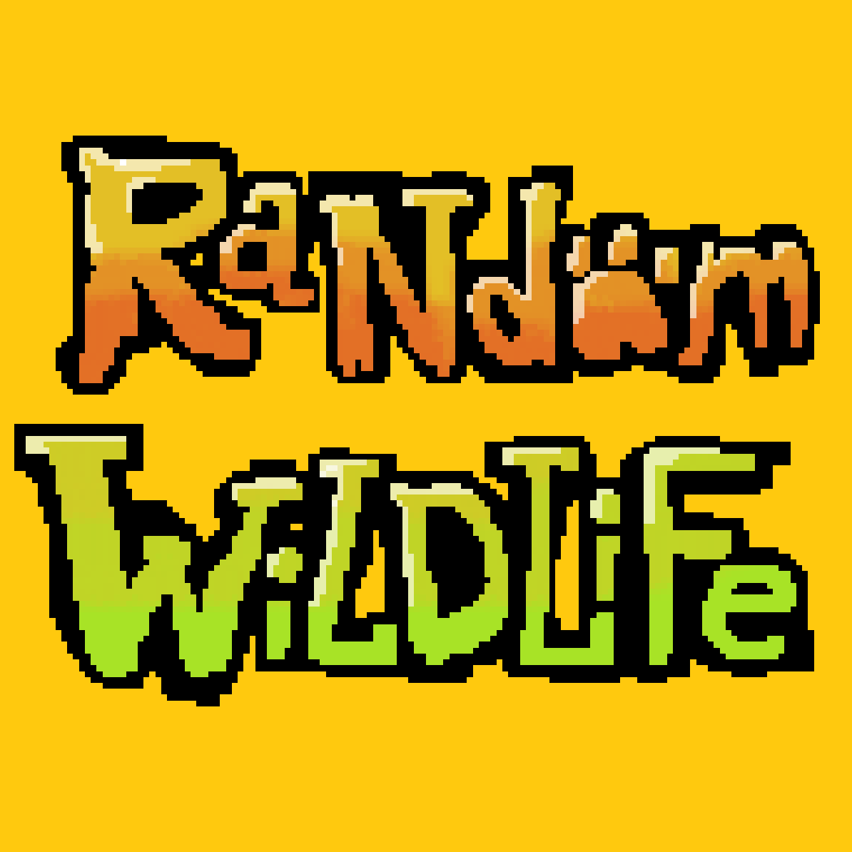 Random Wildlife