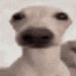 ALIENA member profile picture