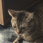 watasims member profile picture