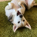 Fusssl1 member profile picture