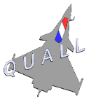 CurseForge profile picture for @Quallero