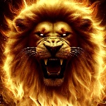 Lionfiregold001 member profile picture