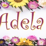 AdelaAndronic member profile picture