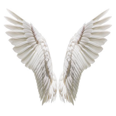 fly me up to the sky