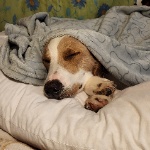 Ivykit626 member profile picture
