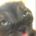 View TheOneToast's Profile
