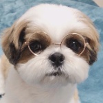 Sparky_128 member profile picture