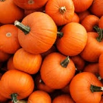 View my_name_pumkin's Profile