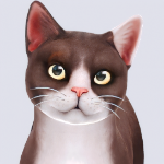 MihiSurihi member profile picture