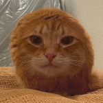 praizazdd member profile picture