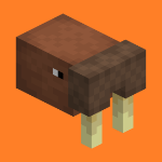 spacewalrus500 member profile picture