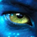 highlightcwZA member profile picture