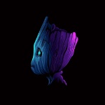 MOKBE999 member profile picture
