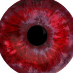 ManOfMoss member profile picture