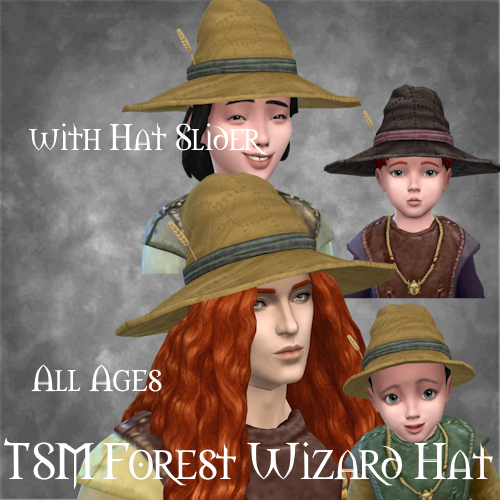 TSM Forest Wizard Hat - All Ages logo