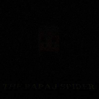 The Papaj Spider