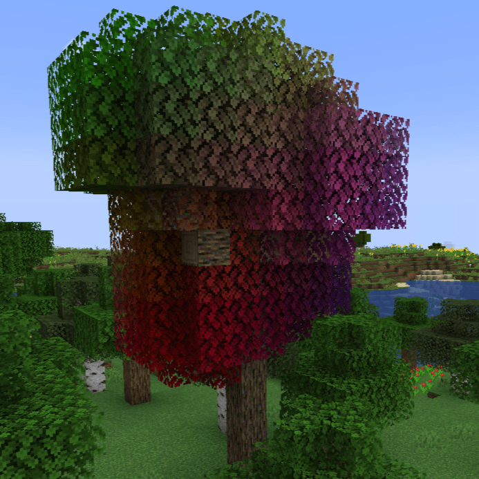 Rainbow Oaks Renewed