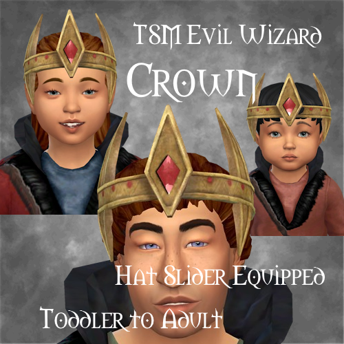 TSM Evil Wizard Crown logo