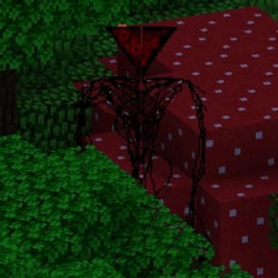 Spectrum_11 and more logo