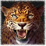 CurseForge profile picture for @LEOPARD