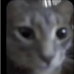 p6st9l member profile picture