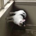 proto_techno_